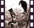 le corbeau et le renard